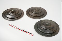 Foto von Bronzephalere (NHMW-PRAE-025641)